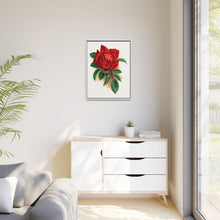 Red rose, Alfred Colomb lithograph. Digitally enhanced from our own original 1900 edition plates of Botanical Specimen published by Rochester Lithographing