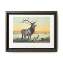 The Wapiti from Zoological sketches (1861-1867) by Joseph Wolf and Philip Lutley Sclater - NOMADEN ART GALLERY