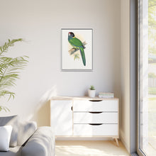 Lydon's Yellow-Naped Parrakeet | Vintage Bird Wall Art Print