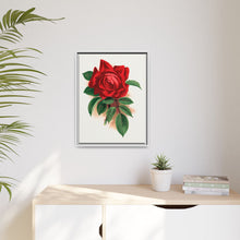 Red rose, Alfred Colomb lithograph. Digitally enhanced from our own original 1900 edition plates of Botanical Specimen published by Rochester Lithographing