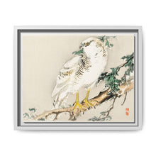 Northern mockingbird by Kōno Bairei (1844-1895) - NOMADEN ART GALLERY