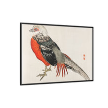 Japanese pheasant by Kōno Bairei (1844-1895)