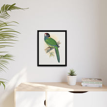 Lydon's Yellow-Naped Parrakeet | Vintage Bird Wall Art Print