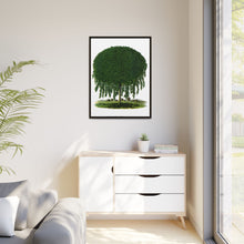 Kilmarnock Weeping Willow tree lithograph. Digitally enhanced from our own original 1900 edition plates of Botanical Specimen published by Rochester Lithographing