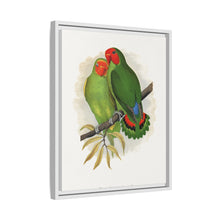 Lydon's West African Love-Bird | Vintage Avian Wall Art Print