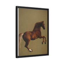 Whistlejacket es una pintura al óleo sobre lienzo de alrededor de 1762 que muestra el caballo de carreras del marqués de Rockingham, encabritado sobre un fondo blanco.