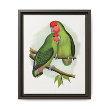 Rosy-Faced Love-Bird (Agapornis roseicollis) colored wood-engraved plate by Alexander Francis Lydon. - NOMADEN ART GALLERY