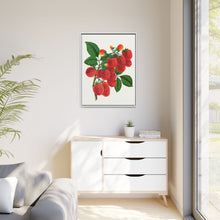 Shaffer's Colossal Raspberry Lithograph (1900)
