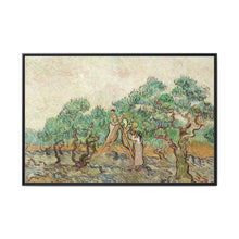 The Olive Orchard (1889) by Vincent van Gogh. Original from The National Gallery of Art. - NOMADEN ART GALLERY
