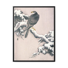 Goshawk on Snow-covered Pine Bough by Ohara Koson (1877–1945) - NOMADEN ART GALLERY