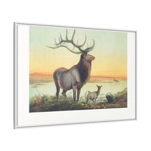 The Wapiti from Zoological sketches (1861-1867) by Joseph Wolf and Philip Lutley Sclater