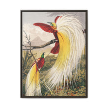 Birds of Paradise: Vintage Natural History Art by Benjamin Fawcett (1808 - 1893) - NOMADEN ART GALLERY