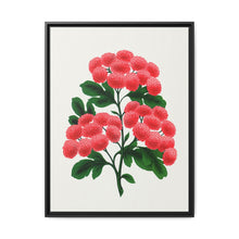 Paul's New Double Flowering Thorn lithograph. Digitally enhanced from our own original 1900 edition plates of Botanical Specimen published by Rochester Lithographing - NOMADEN ART GALLERY