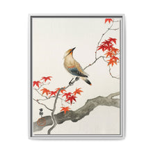 Japanese plague bird on maple (1900 - 1936) by Ohara Koson