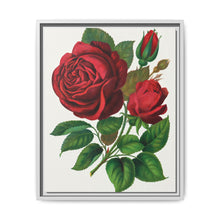 Red Rose, Prince Camille De Rohan Lithograph - NOMADEN ART GALLERY
