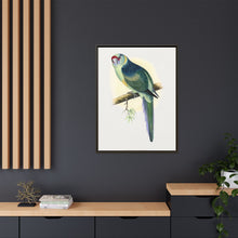 Barnard's Parrakeet (Barnardius barnardi) colored wood-engraved plate by Alexander Francis Lydon