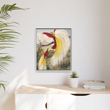 Birds of Paradise: Vintage Natural History Art by Benjamin Fawcett (1808 - 1893)