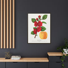 Japan Quince tree lithograph. Digitally enhanced from our own original 1900 edition plates of Botanical Specimen published by Rochester Lithographing