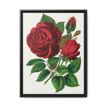 Red Rose, Prince Camille De Rohan Lithograph - NOMADEN ART GALLERY