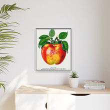 Wolf River Apple Lithograph | Vintage Botanical Wall Art Print
