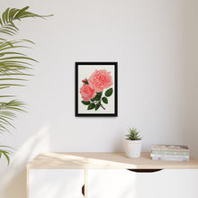 Pink Rose, La France Lithograph (1900)
