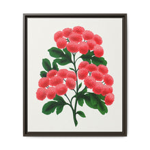 Paul's New Double Flowering Thorn lithograph. Digitally enhanced from our own original 1900 edition plates of Botanical Specimen published by Rochester Lithographing - NOMADEN ART GALLERY