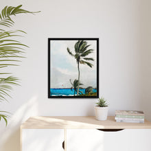 Palm Tree, Nassau (1898) by Winslow Homer