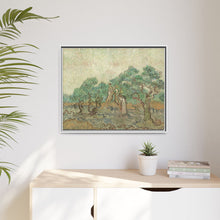 Vincent van Gogh's The Olive Orchard (1889) - NOMADEN ART GALLERY