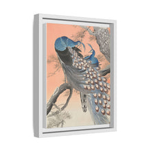 Two peacocks on tree branch (1900 - 1930) by Ohara Koson