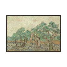 Vincent van Gogh's The Olive Orchard (1889) - NOMADEN ART GALLERY