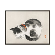 Sleeping cat by Kōno Bairei (1844-1895) - NOMADEN ART GALLERY
