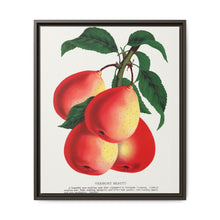 Vermont Beauty pear lithograph. Digitally enhanced from our own original 1900 edition plates of Botanical Specimen published by Rochester Lithographing - NOMADEN ART GALLERY