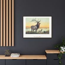 The Wapiti from Zoological sketches (1861-1867) by Joseph Wolf and Philip Lutley Sclater