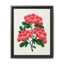Paul's New Double Flowering Thorn lithograph. Digitally enhanced from our own original 1900 edition plates of Botanical Specimen published by Rochester Lithographing - NOMADEN ART GALLERY