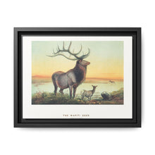 The Wapiti from Zoological sketches (1861-1867) by Joseph Wolf and Philip Lutley Sclater - NOMADEN ART GALLERY