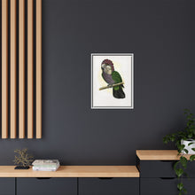 Hawk-Headed Parrot (Deroptyus accipitrinus) colored wood-engraved plate by Alexander Francis Lydon.