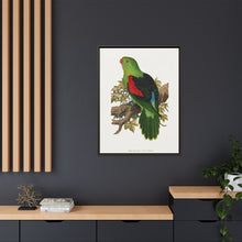Red-winged parakeet (Aprosmictus erythropterus) colored wood-engraved plate by Alexander Francis Lydon