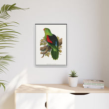 Red-winged parakeet (Aprosmictus erythropterus) colored wood-engraved plate by Alexander Francis Lydon