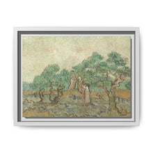 Vincent van Gogh's The Olive Orchard (1889) - Historical Art Canvas Print - NOMADEN ART GALLERY