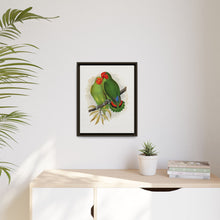 Lydon's West African Love-Bird | Vintage Avian Wall Art Print