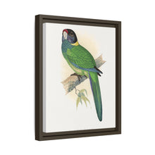 Lydon's Yellow-Naped Parrakeet | Vintage Bird Wall Art Print