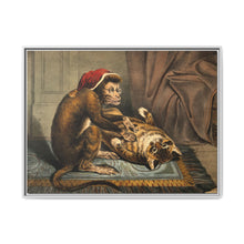 A monkey physician examining a cat patient for fleas. Coloured lithograph - NOMADEN ART GALLERY