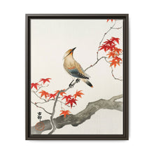 Japanese plague bird on maple (1900 - 1936) by Ohara Koson
