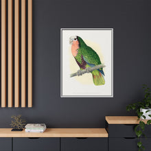 Red-Throated White-Fronted Amazon (Amazona leucocephala) colored wood-engraved plate by Alexander Francis Lydon.
