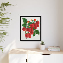 Shaffer's Colossal Raspberry Lithograph (1900)