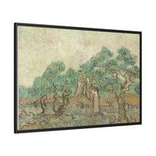 Vincent van Gogh's The Olive Orchard (1889) - NOMADEN ART GALLERY