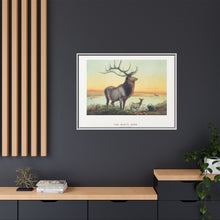 The Wapiti from Zoological sketches (1861-1867) by Joseph Wolf and Philip Lutley Sclater