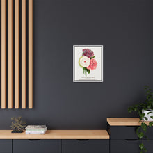 Double Althea in 3 colors lithograph. Digitally enhanced from our own original 1900 edition plates of Botanical Specimen published by Rochester Lithographing