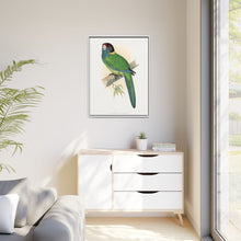 Lydon's Yellow-Naped Parrakeet | Vintage Bird Wall Art Print