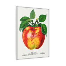 Wolf River Apple Lithograph | Vintage Botanical Wall Art Print